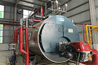 河南南陽(yáng)化工廠(chǎng)WNS4-1.25-Q燃?xì)庹羝仩t