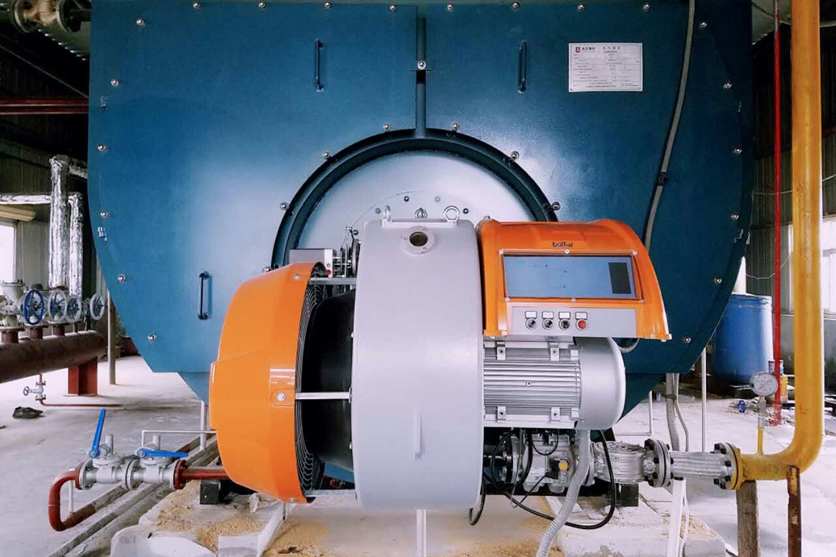 包裝廠(chǎng)10噸燃?xì)庹羝仩t