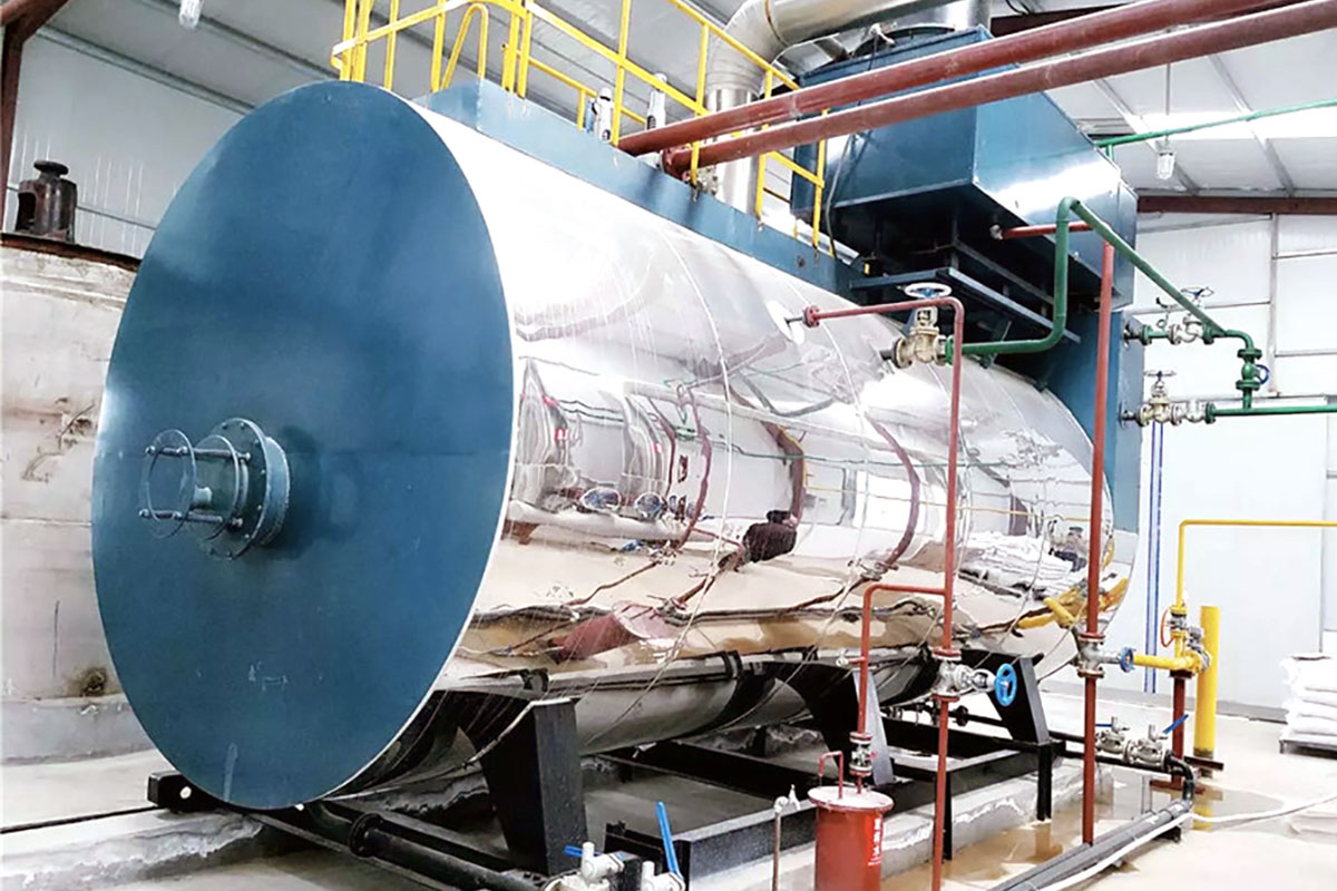 包裝廠(chǎng)10噸燃?xì)忮仩t